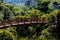 Wooden footbridge over gully in recreational forest