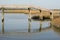 Wooden footbridge over North Carolina swamp