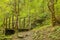 Wooden footbridge over ravine in wilderness park