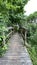 Wooden footbridge in the park near Wlodawa