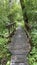 Wooden footbridge in the park near Wlodawa