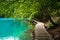 Wooden footbridge through Plitvice Lakes