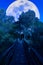 Wooden footbridge with supermoon