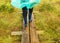 Wooden footbridge in the swamp, human feet in rubber boots, swamp vegetation, plants, grass, moss in the rain, autumn