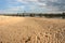 Wooden Footbridge to a Sandbar at Kinloss in Scotland with a view of the sand at low tide