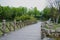 Wooden footbridge in verdant spring