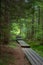 Wooden foothpat, bridge, boardwalk leading across marshland in forest, Pohorje, Slovenia