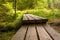 Wooden foothpat, bridge, boardwalk leading across marshland in forest, Pohorje, Slovenia