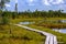 wooden footpath boardwalk in the bog swamp area