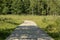 wooden footpath boardwalk in the bog swamp area