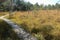 Wooden footpath through the Ibm Moorland in upper Austria, in early autumn.