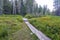 Wooden footpath in the marshy surroundings of Little Crater Lake