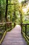 Wooden footpath nature trail at Doi Inthanon National Park in Chiang Mai, Thailand