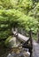 Wooden footpath over bridge