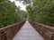 Wooden footpath with rusty steel guard rails in wood area