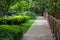 Wooden footpath throught garden