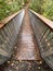 Wooden forest foot bridge