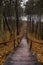 Wooden forest staircase in autumn