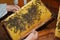 Wooden frame honeycomb.  Beekeeper holding wooden frame with honeycombs and honey bees photo