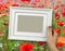 Wooden frame in woman hands on the background poppy field