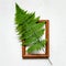 Wooden framework,green fern on white, top view.Square