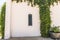 Wooden french louvre window in white wall with green plant creeper next to potplant