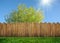 Wooden garden fence at backyard and bloom tree in spring