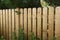 Wooden garden fence at backyard with trees and other plants in summer
