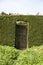 Wooden gate in hedge