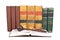 Wooden gavel and law books