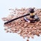 Wooden gavel in a pile of copper coins