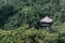 Wooden gazebo on beautiful jungle landscape in Ubud