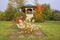 Wooden gazebo in landscaped garden in autumn