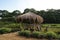 wooden gazebo in a park