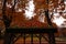 Wooden gazebo in a park surrounded by colorful leaves and trees during autumn