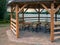a wooden gazebo for relaxation and a brick barbecue