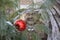 Wooden gnome watches Christmas tree decoration
