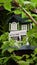 A wooden green and white birdhouse with some raspberry leaves in the front