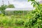 Wooden greenhouse with polycarbonate in the garden