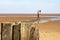 Wooden groyne on Cleethorpes beach with wind turbines in the distance