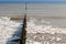 Wooden Groyne Coastal Defence Covered in Seaweed