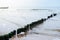 Wooden groyne on a sea