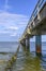 Wooden groynes covered with yellow green algae under a pier with columns of concrete and rusty metal