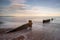 Wooden Groynes on Dawlish Beach