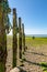 Wooden Groynes and Seaweed