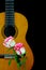 Wooden guitar with pink tipped white roses