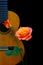 Wooden guitar with vibrant caribbean roses