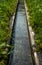 Wooden gutter for water supply. Decorative well