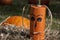 Wooden Halloween Pumpkin Head