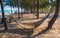 Wooden hammock with sand on beach.